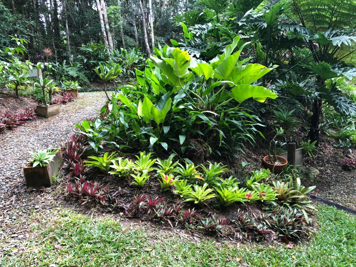 Villa Honeybee House Kuranda Exterior foto